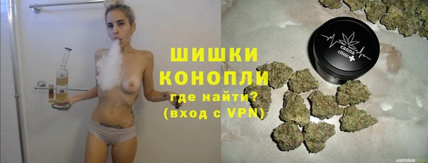 МДПВ Богородицк