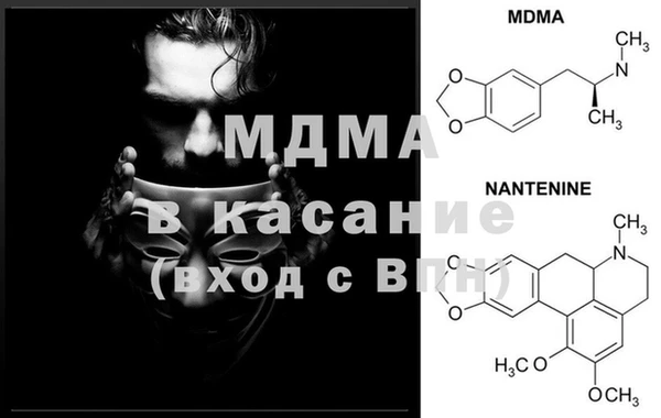 индика Богородск
