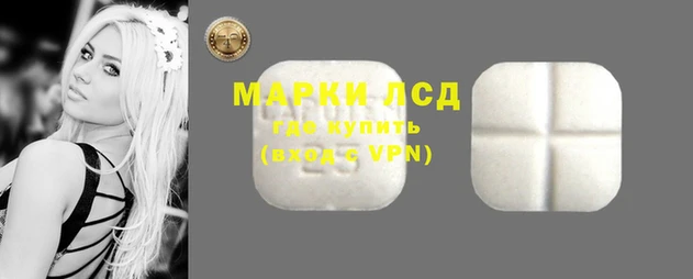 стаф Белокуриха