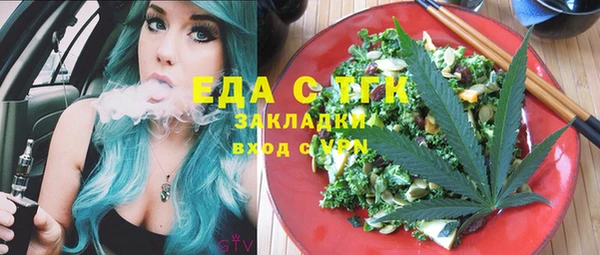 индика Богородск