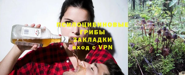 МДПВ Богородицк
