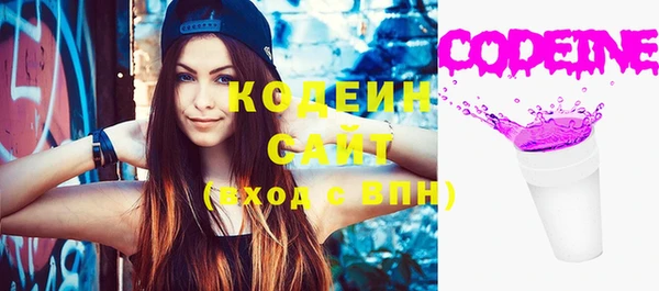 индика Богородск