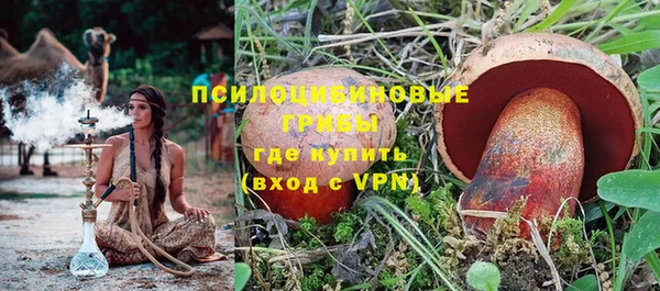 МДПВ Богородицк