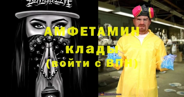 индика Богородск